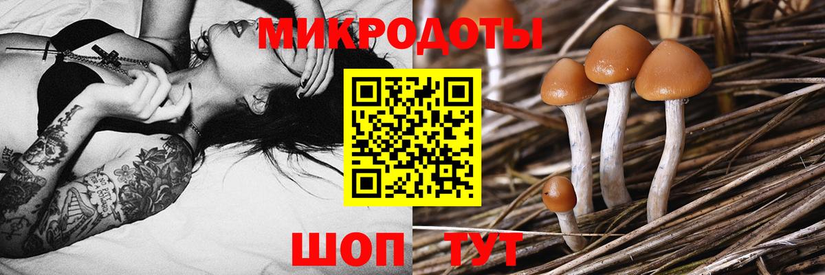 Минеральные Воды  сколько стоит  Вход с VPN  Псилоцибиновые грибы MAGIC MUSHROOMS 